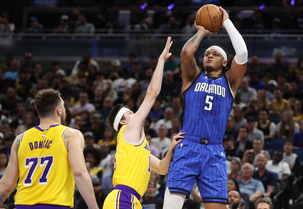 哺乳动物 哺乳动物